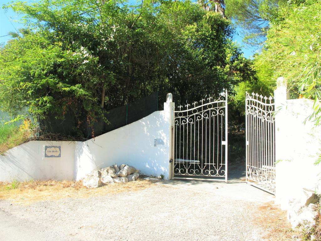 Casa Branca Guest House 포즈도아렐로 외부 사진